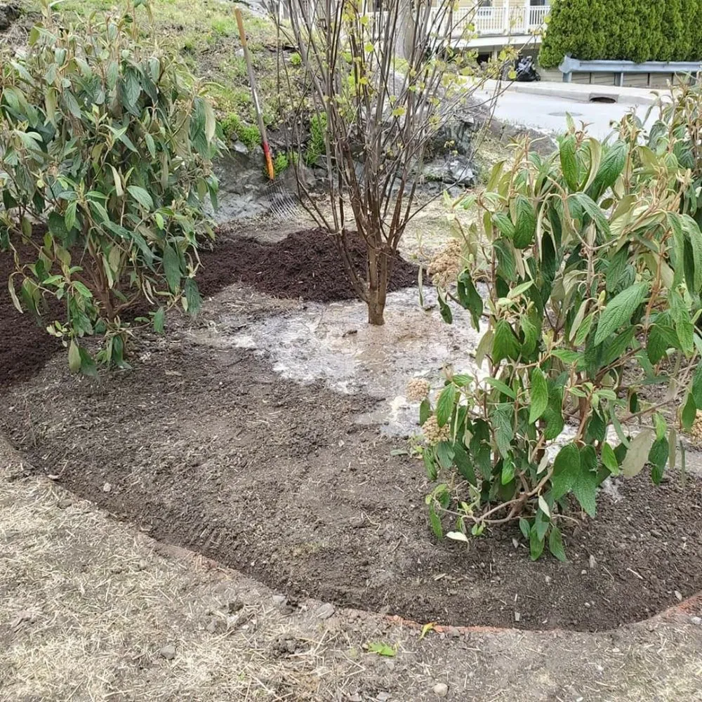 Professional yard maintenance in Peekskill, NY by Alegria's Landscaping Services