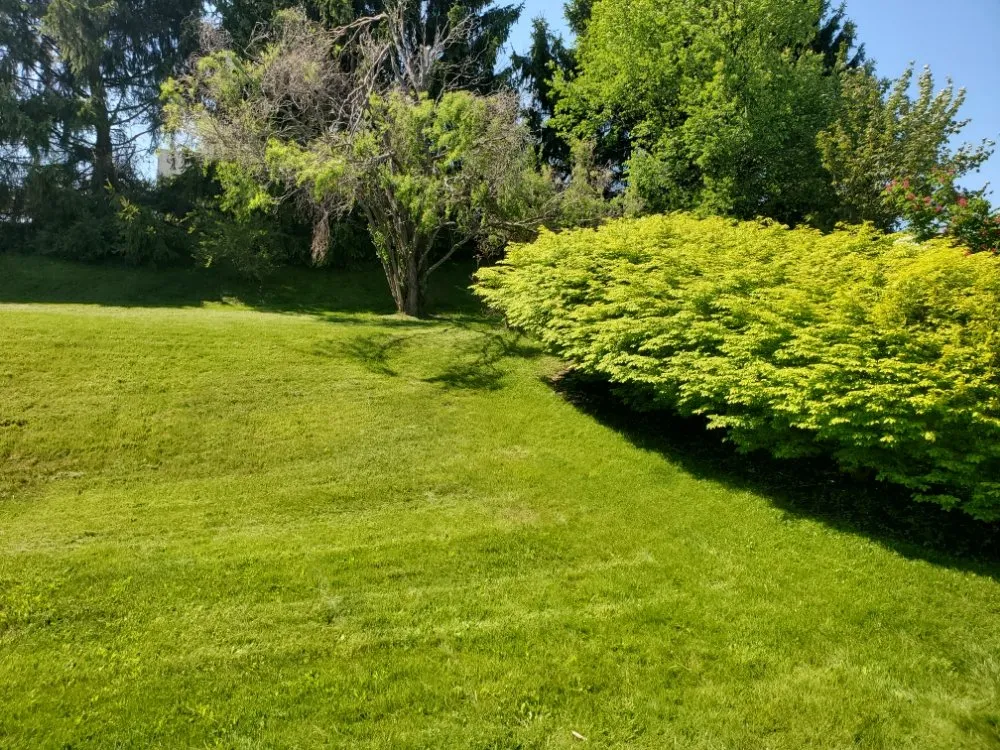 Custom yard maintenance for year-round maintenance across Peekskill, NY - Alegria's Landscaping Services