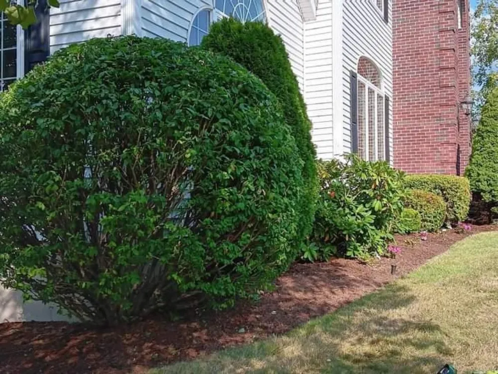 Reliable landscape design experts serving Framingham, MA - Aleixo Pc