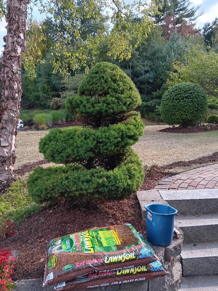 Expert landscape installation experts serving Framingham, MA - Aleixo Pc