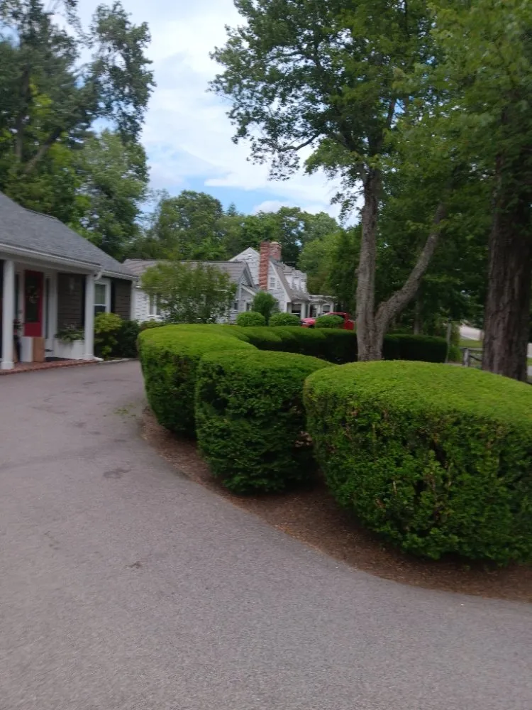 Affordable lawn care service for outdoor upgrades in Framingham, MA by Aleixo Pc