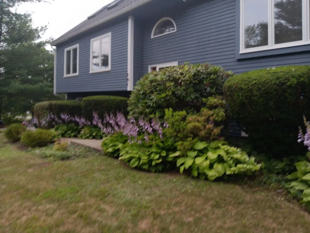 Reliable landscape installation in Framingham, MA - Aleixo Pc