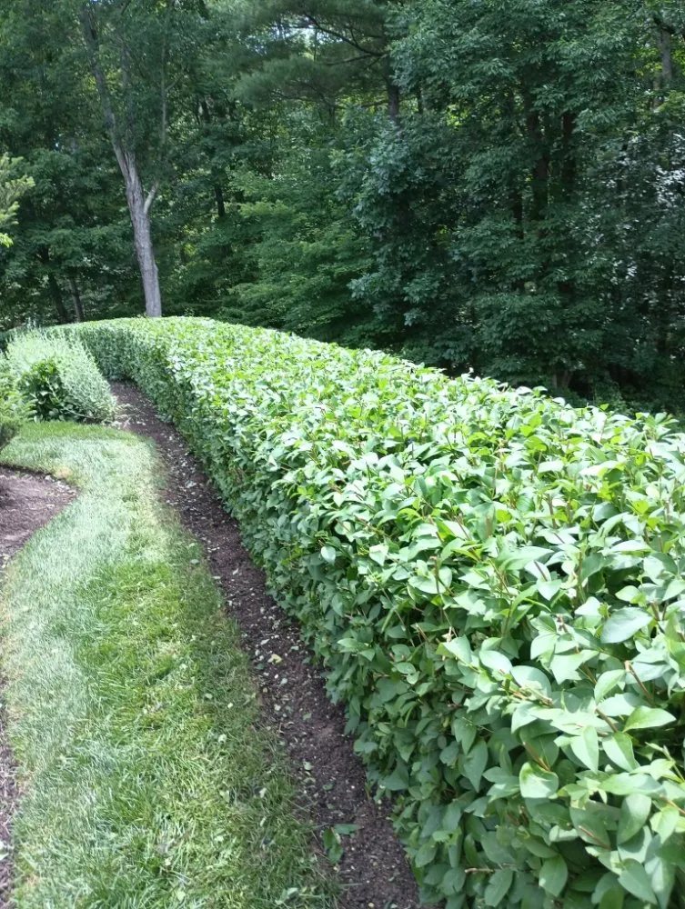 Custom landscaping services in Framingham, MA by Aleixo Pc