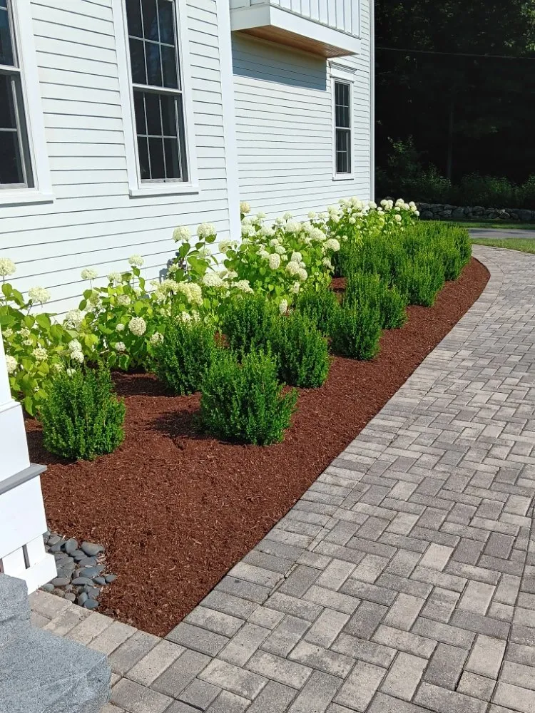 Expert landscaping services for year-round maintenance in Framingham, MA by Aleixo Pc