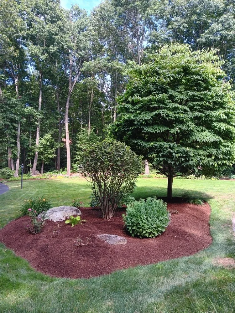 Local outdoor landscaping in Framingham, MA - Aleixo Pc