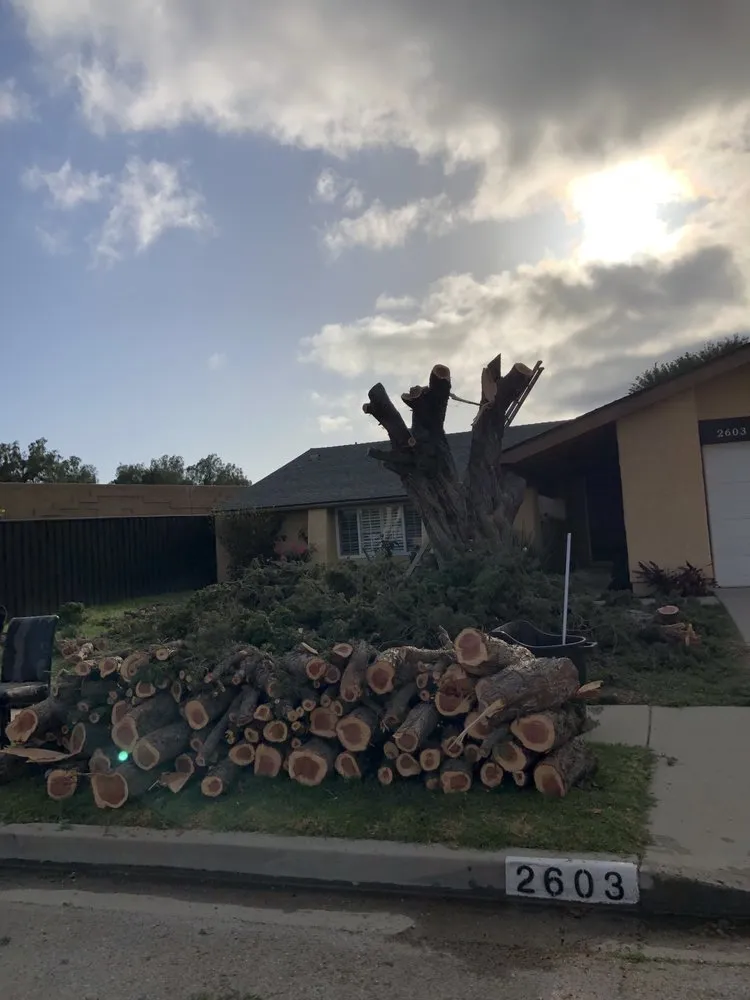 Professional lawn care service in Huntington Park, CA by Alejairos landscaping