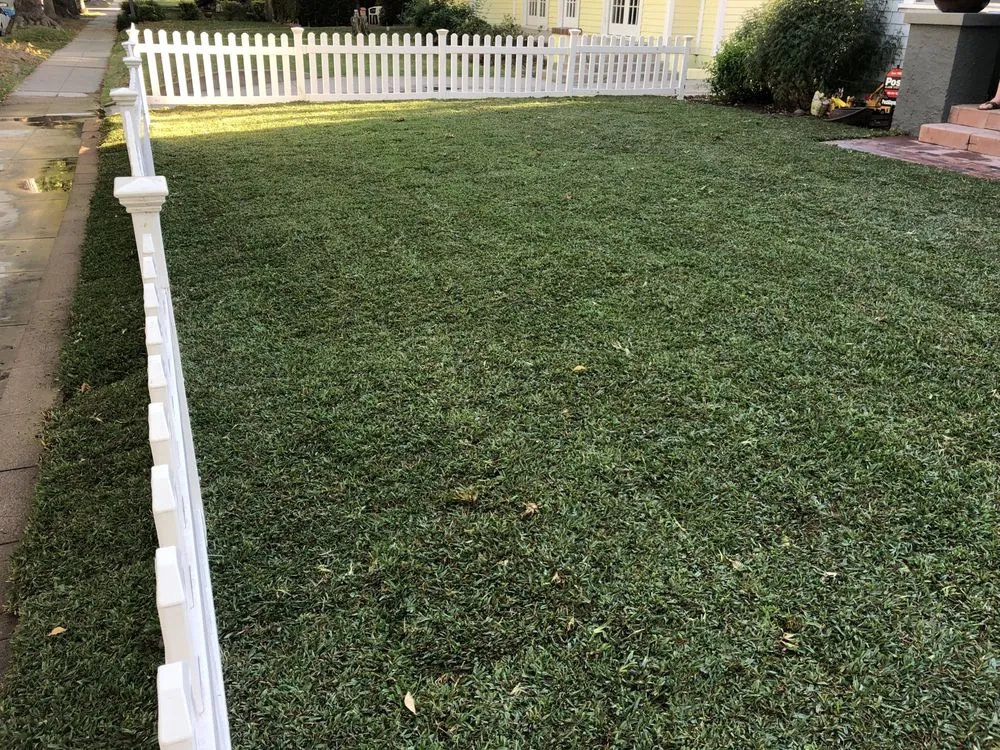 Top-rated landscape design experts serving Huntington Park, CA - Alejairos landscaping