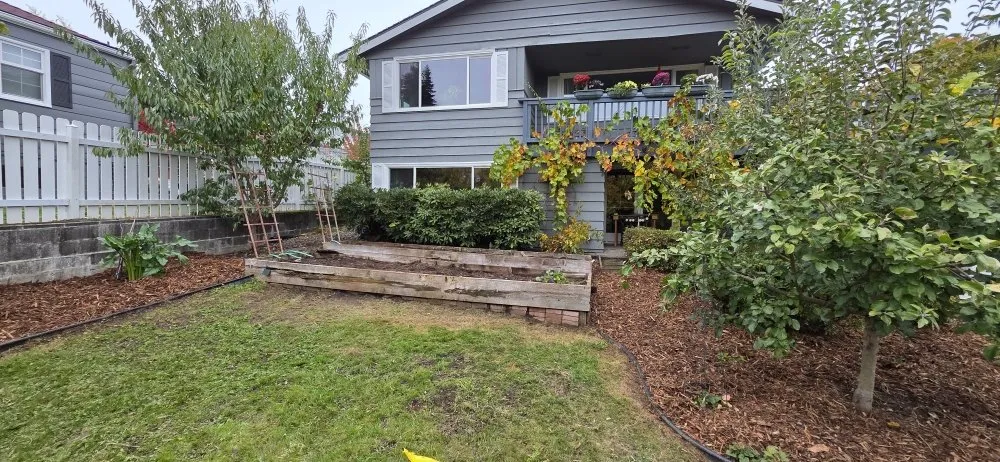 Top-rated yard cleanup service experts serving Auburn, WA - Alejandre Landscaping