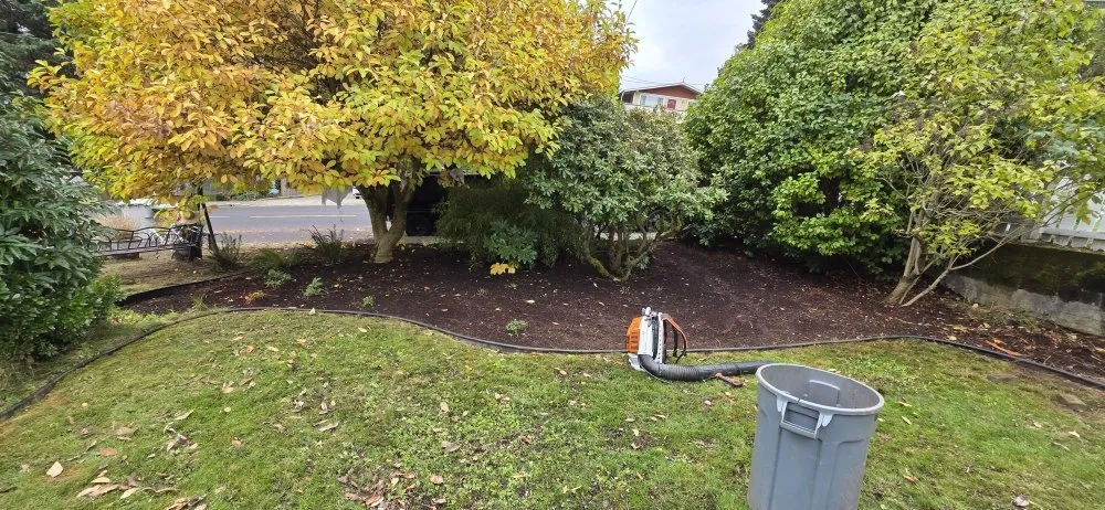 Affordable outdoor landscaping experts serving Auburn, WA - Alejandre Landscaping