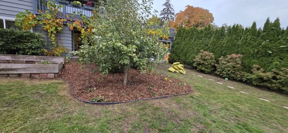 Affordable garden landscaping in Auburn, WA - Alejandre Landscaping