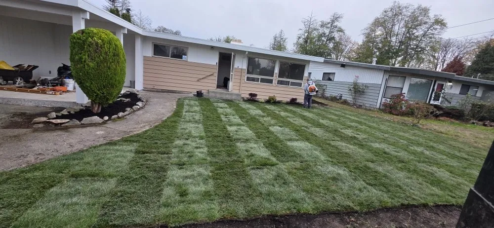 Expert lawn mowing service in Auburn, WA by Alejandre Landscaping