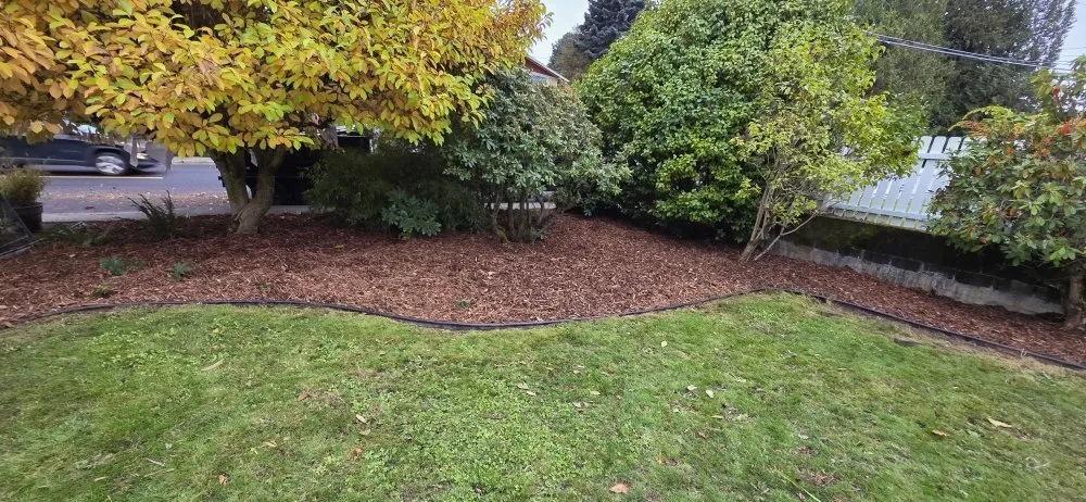 Trusted landscape installation in Auburn, WA by Alejandre Landscaping