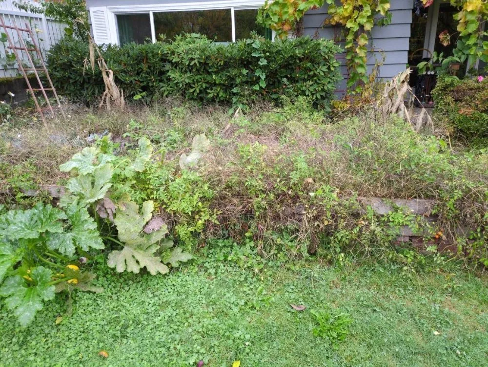 Local outdoor landscaping with custom design in Auburn, WA by Alejandre Landscaping