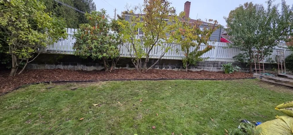 Affordable landscape design in Auburn, WA - Alejandre Landscaping
