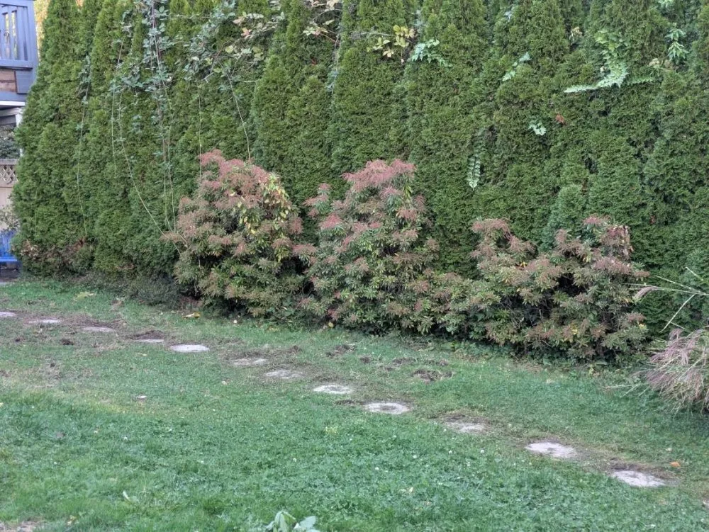 Affordable garden landscaping for homes across Auburn, WA - Alejandre Landscaping