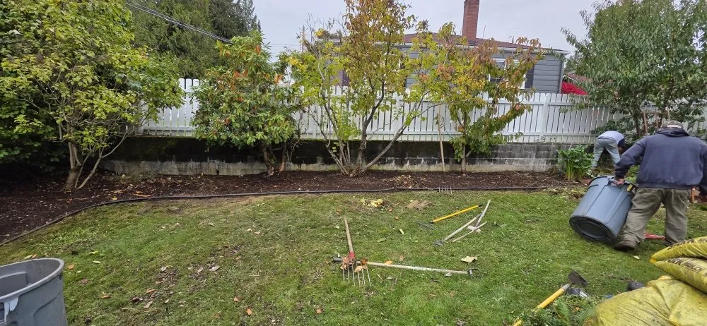 Professional yard cleanup service near you in Auburn, WA by Alejandre Landscaping