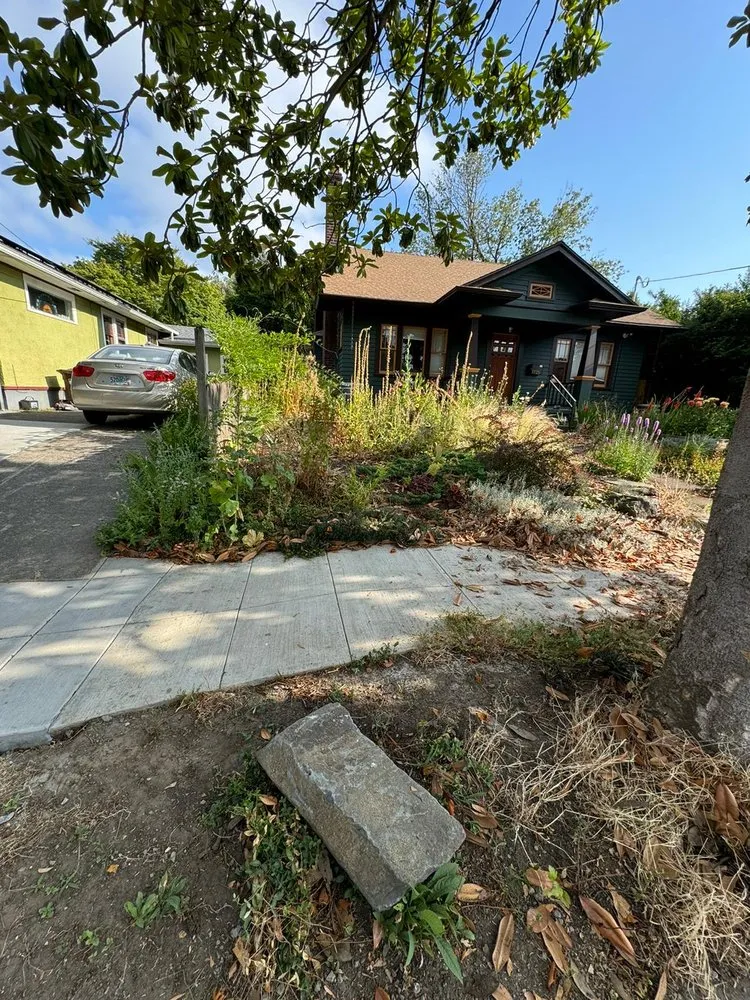 Professional lawn care service for beautiful yards across Beaverton, OR - Alejandres Landscaping