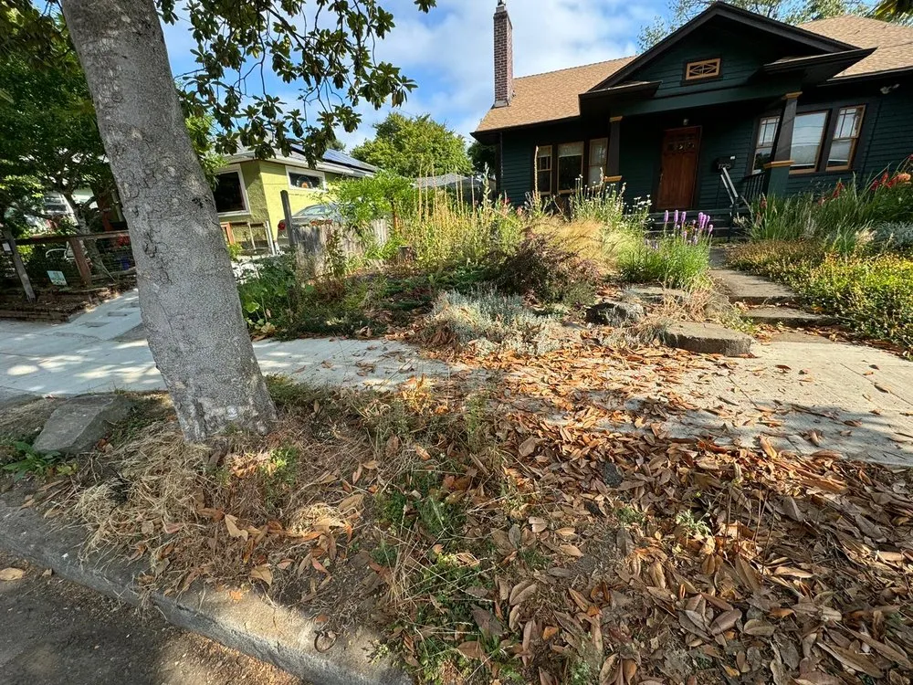 Professional garden landscaping in Beaverton, OR - Alejandres Landscaping