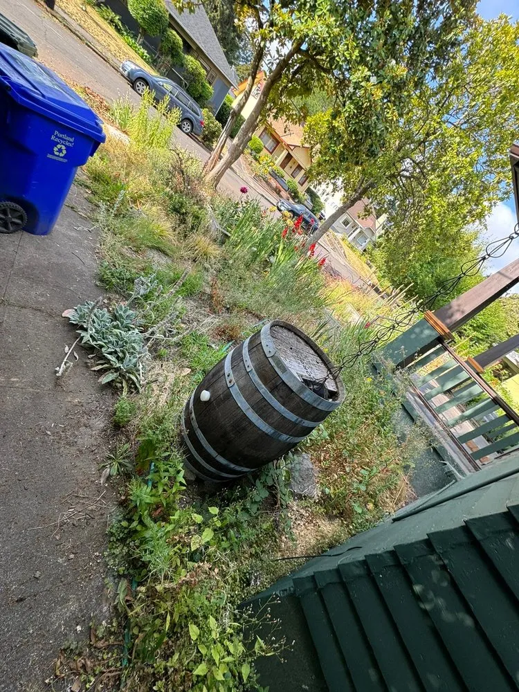 Trusted yard cleanup service in Beaverton, OR by Alejandres Landscaping