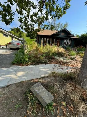 Alejandres Landscaping Logo