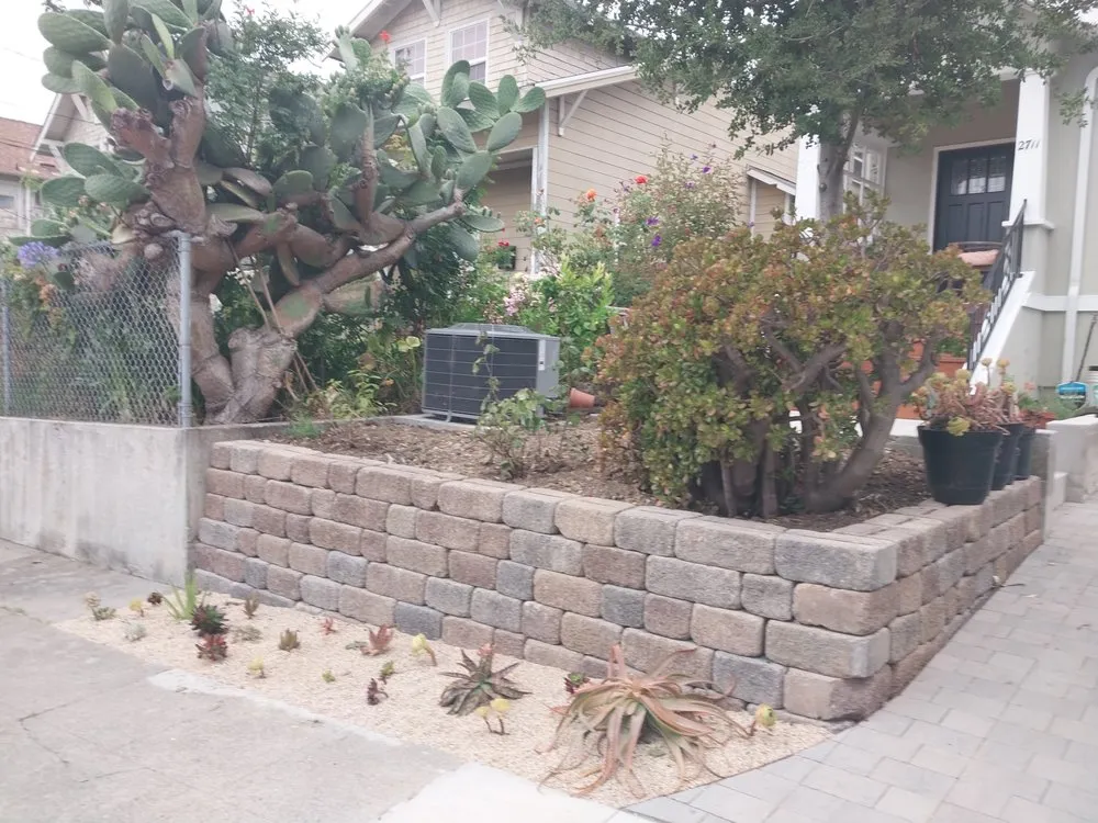 Top-rated yard cleanup service for residential properties across Hayward, CA - Alejandre's Landscaping