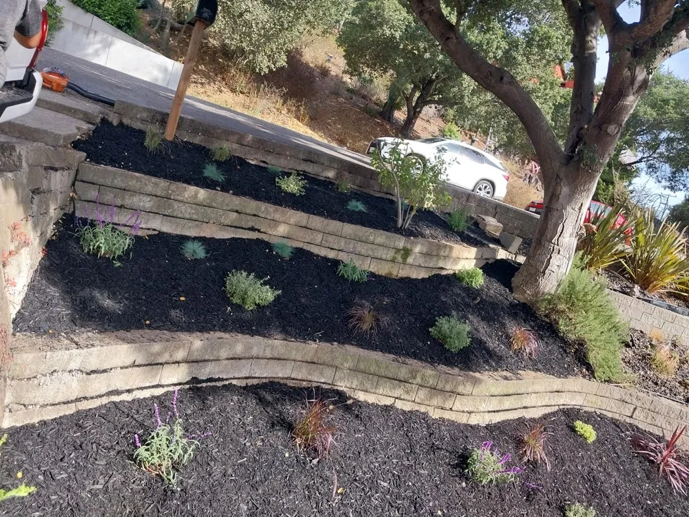 Professional garden landscaping experts serving Hayward, CA - Alejandre's Landscaping