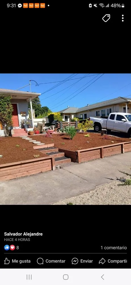 Custom yard cleanup service in Hayward, CA by Alejandre's Landscaping