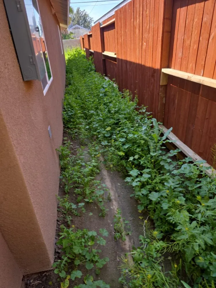 Custom outdoor landscaping with custom design in Bakersfield, CA by Alejandres Lawn Care