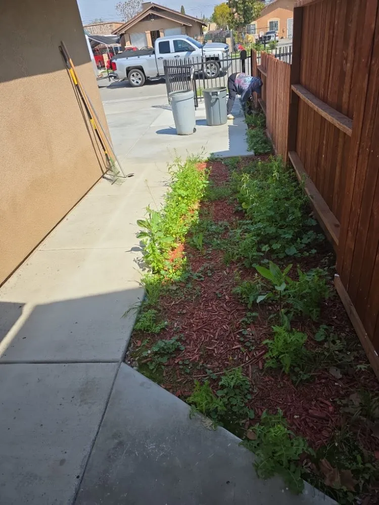 Professional outdoor landscaping in Bakersfield, CA by Alejandres Lawn Care