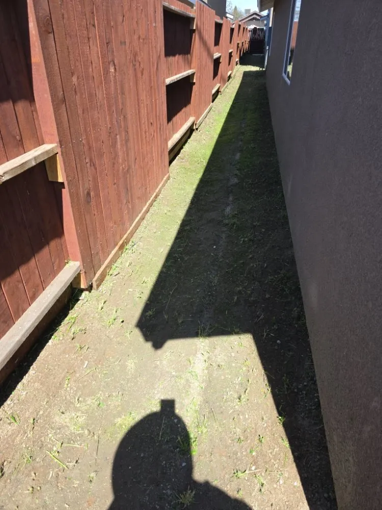 Trusted outdoor landscaping in Bakersfield, CA by Alejandres Lawn Care