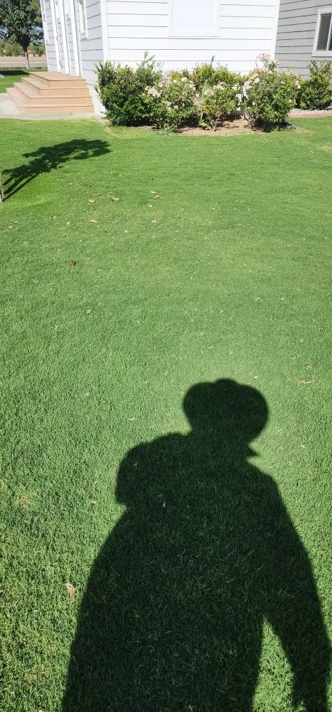 Local landscaping services experts serving Bakersfield, CA - Alejandres Lawn Care