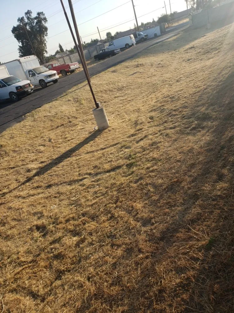 Trusted residential landscaping in Bakersfield, CA - Alejandres Lawn Care