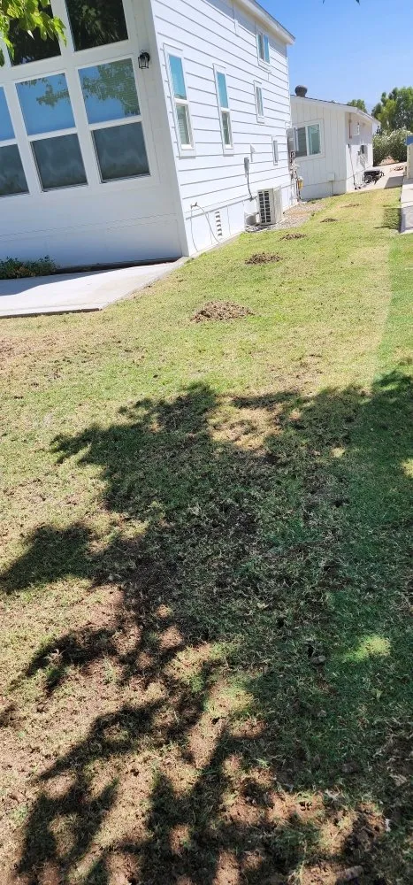 Custom landscaping services in Bakersfield, CA by Alejandres Lawn Care