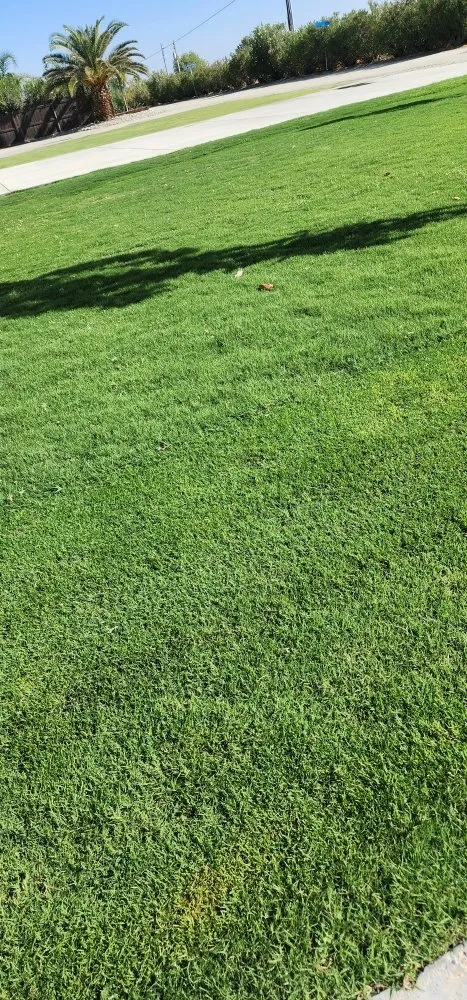 Affordable residential landscaping for homes across Bakersfield, CA - Alejandres Lawn Care