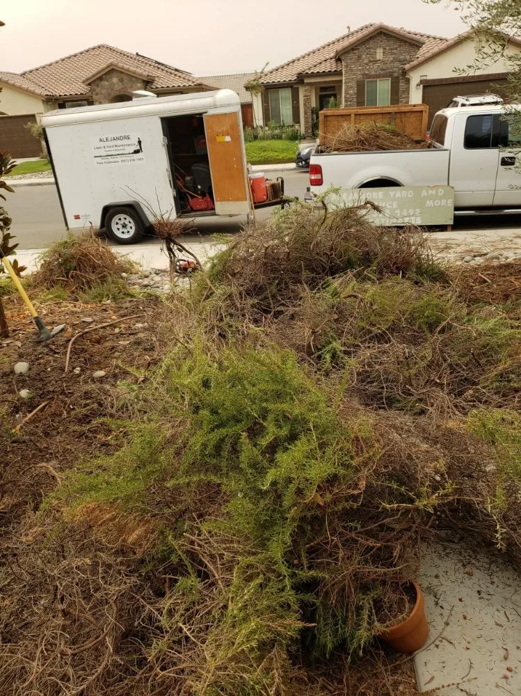 Local outdoor landscaping for year-round maintenance across Bakersfield, CA - Alejandres Lawn Care