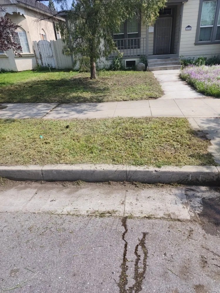 Local yard cleanup service near you in Bakersfield, CA by Alejandres Lawn Care