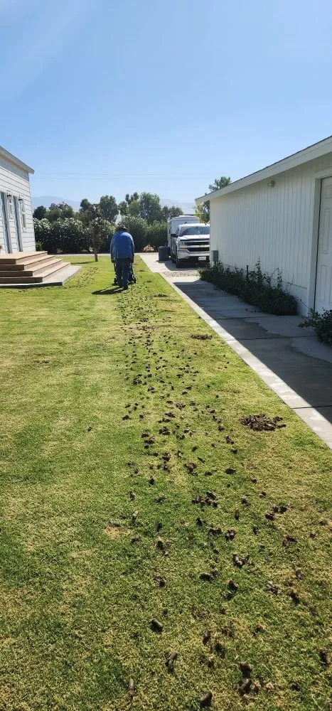 Trusted garden landscaping for residential properties across Bakersfield, CA - Alejandres Lawn Care