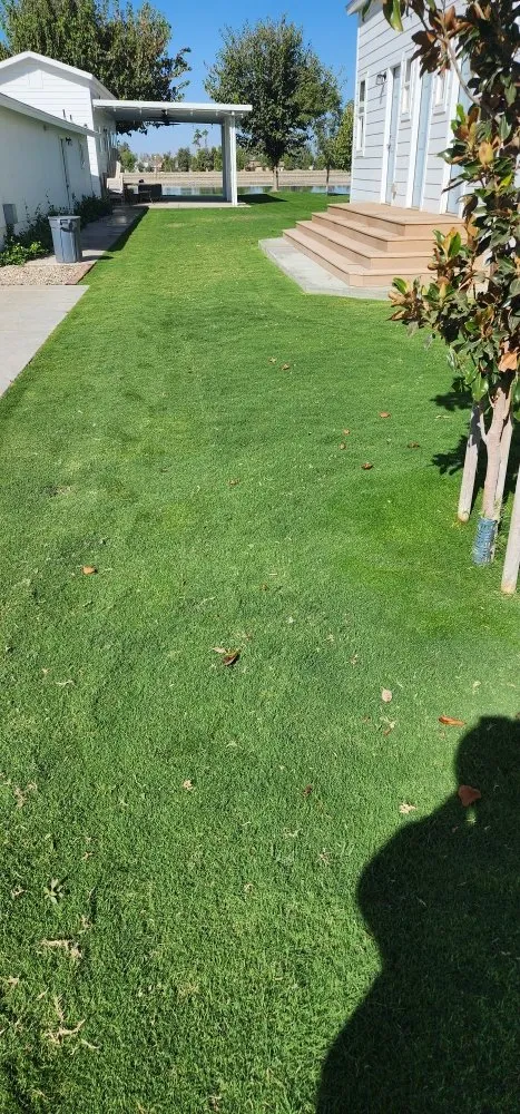 Top-rated landscaping services in Bakersfield, CA - Alejandres Lawn Care