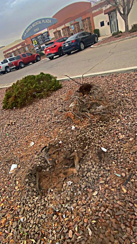 Affordable outdoor landscaping experts serving El Paso, TX - Alejandro Alvarez Landscape & Commercial