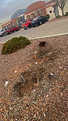 Alejandro Alvarez Landscape & Commercial Logo