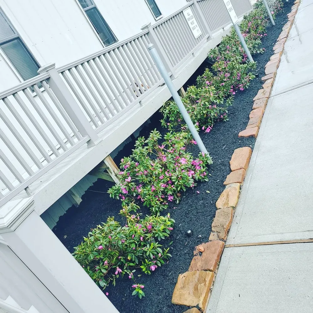 Local lawn care service in Shenandoah, TX by Alejandro Antonio Cervantes