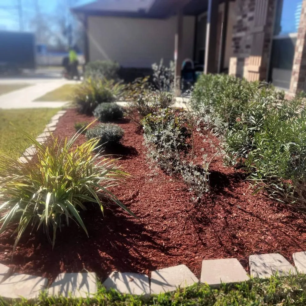 Local yard cleanup service near you across Shenandoah, TX - Alejandro Antonio Cervantes