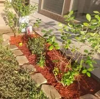 Affordable landscape installation with custom design across Shenandoah, TX - Alejandro Antonio Cervantes