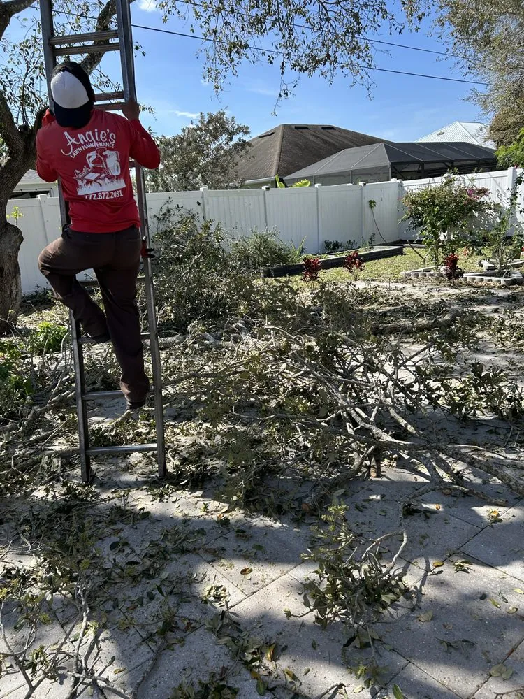 Trusted lawn care service in Indiantown, FL by Alejandro Francisco Juan