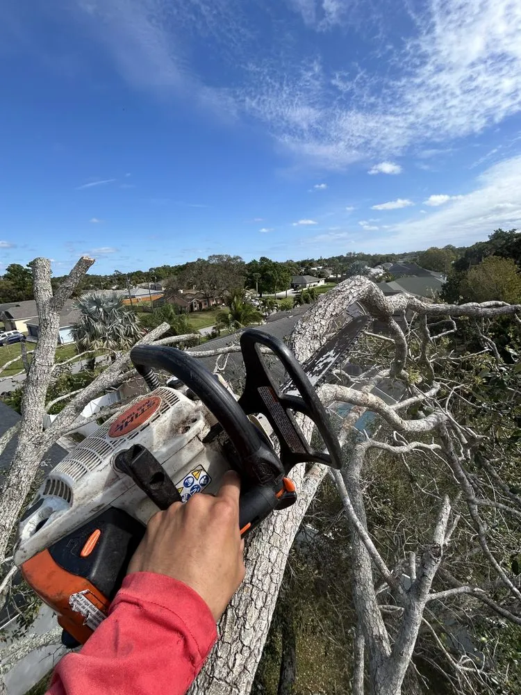 Affordable landscape installation in Indiantown, FL - Alejandro Francisco Juan