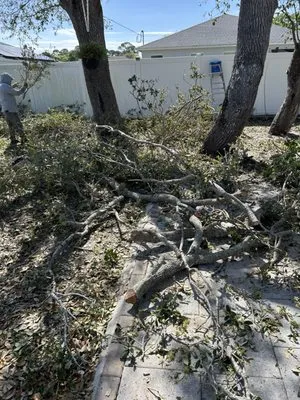 Alejandro Francisco Juan Logo