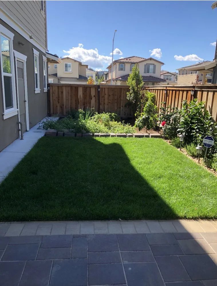 Trusted lawn care service for outdoor upgrades in Morgan Hill, CA by Alejandro Ibanez Landscaping Service