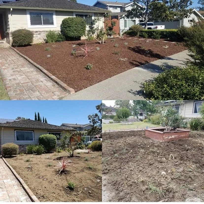 Professional yard cleanup service for homes in Morgan Hill, CA by Alejandro Ibanez Landscaping Service