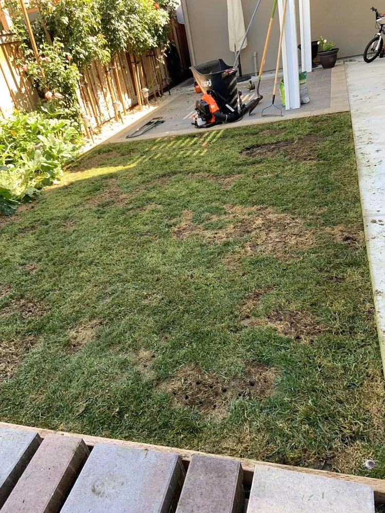 Custom lawn mowing service in Morgan Hill, CA - Alejandro Ibanez Landscaping Service