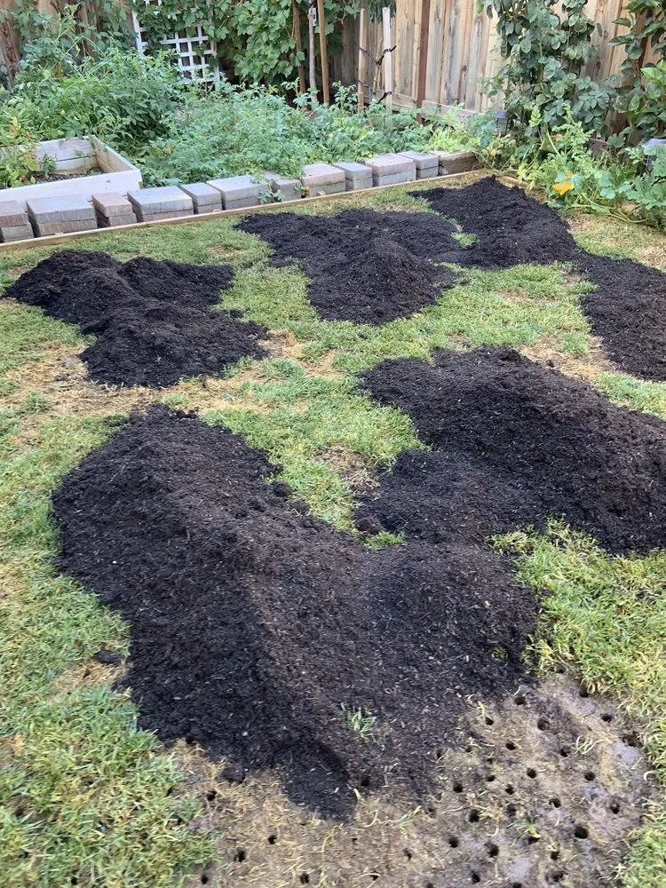 Custom lawn care service in Morgan Hill, CA - Alejandro Ibanez Landscaping Service